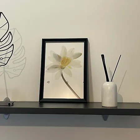 Διαμέρισμα Le Vie Del Vento - Garibaldi *